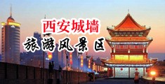 老太太大骚逼操舒服出水了中国陕西-西安城墙旅游风景区