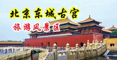男生把坤巴塞进黑丝女生屁股里视频中国北京-东城古宫旅游风景区